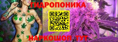 apvp Тверь
