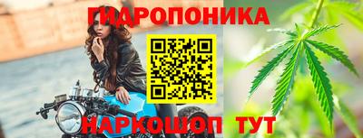 apvp Тверь