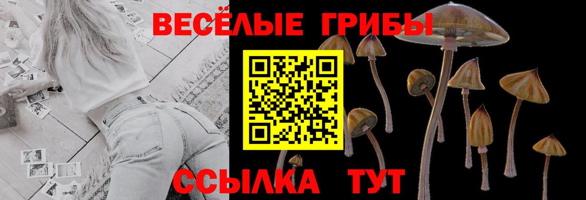 Галлюциногенные грибы MAGIC MUSHROOMS  Вход с VPN  Псилоцибиновые грибы мицелий  Белогорск 